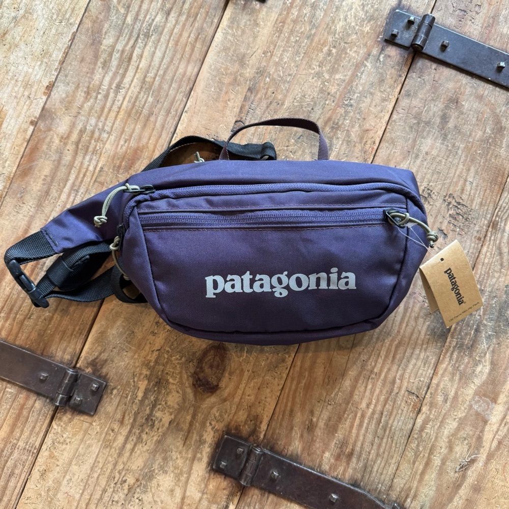 NWT PATAGONIA LW TRAVEL MINI HIP PACK